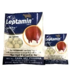 Leptamin Tablets