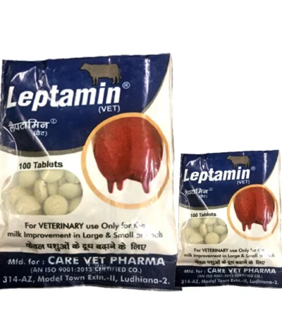 Leptamin Tablets