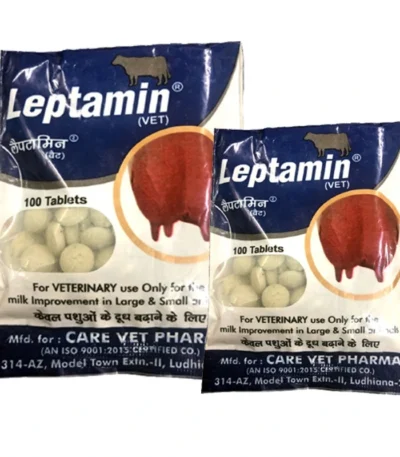 Leptamin Tablets