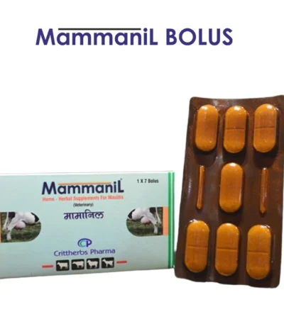 Mammanil Bolus