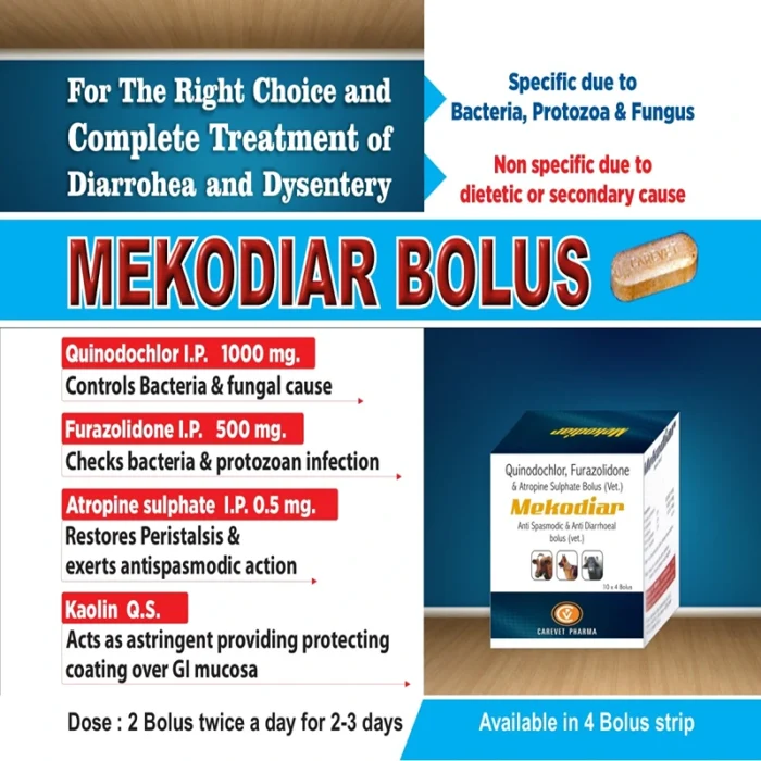 Mekodiar Bolus