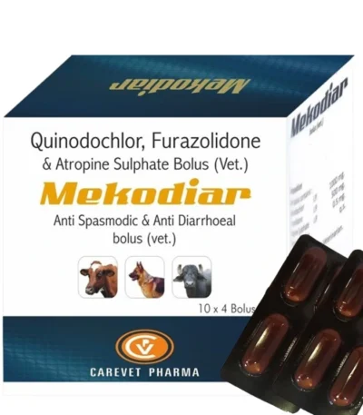 Mekodiar Bolus