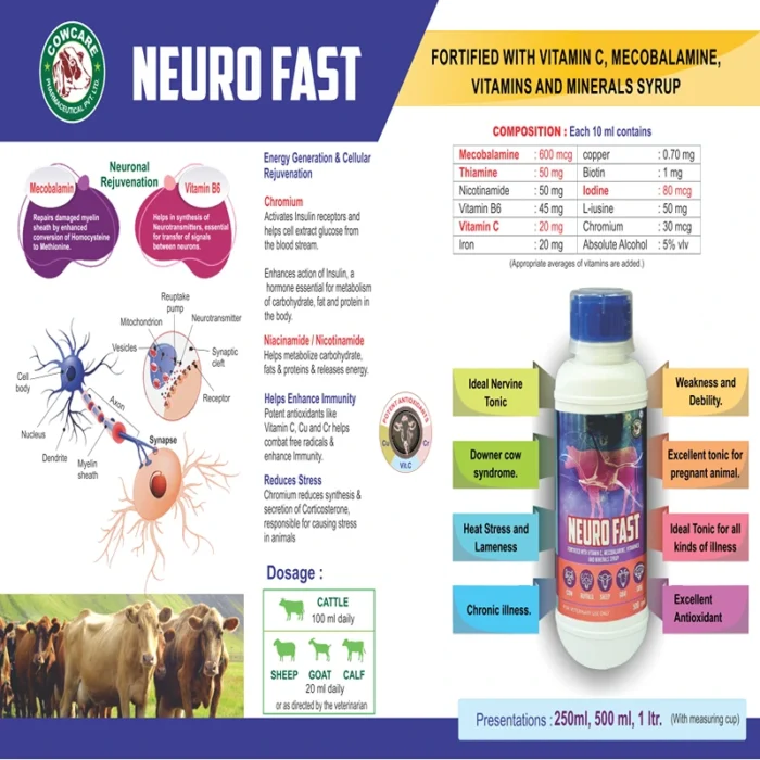 NEURO FAST