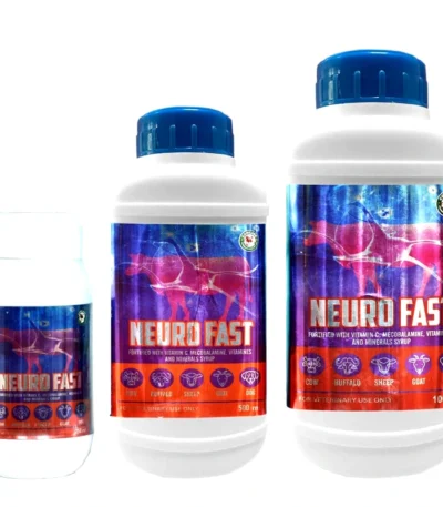 NEURO FAST