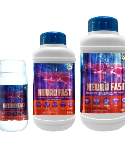 NEURO FAST