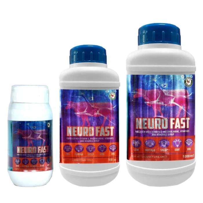 NEURO FAST