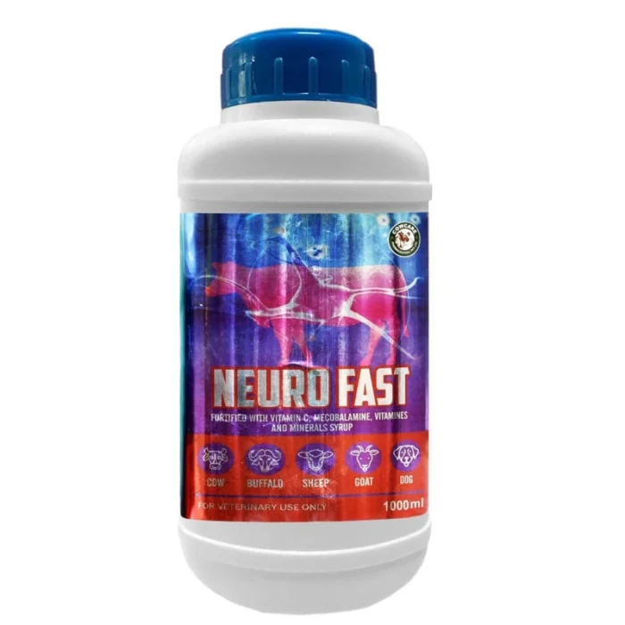 NEURO FAST