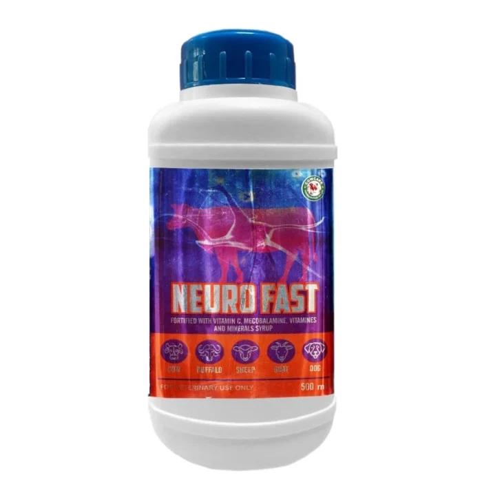 NEURO FAST