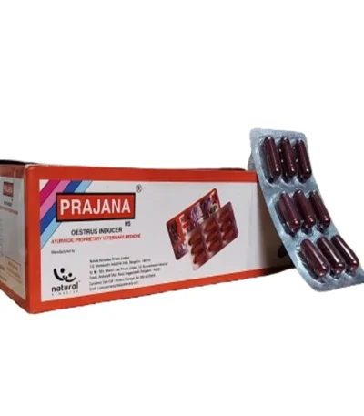Prajana HS Capsule