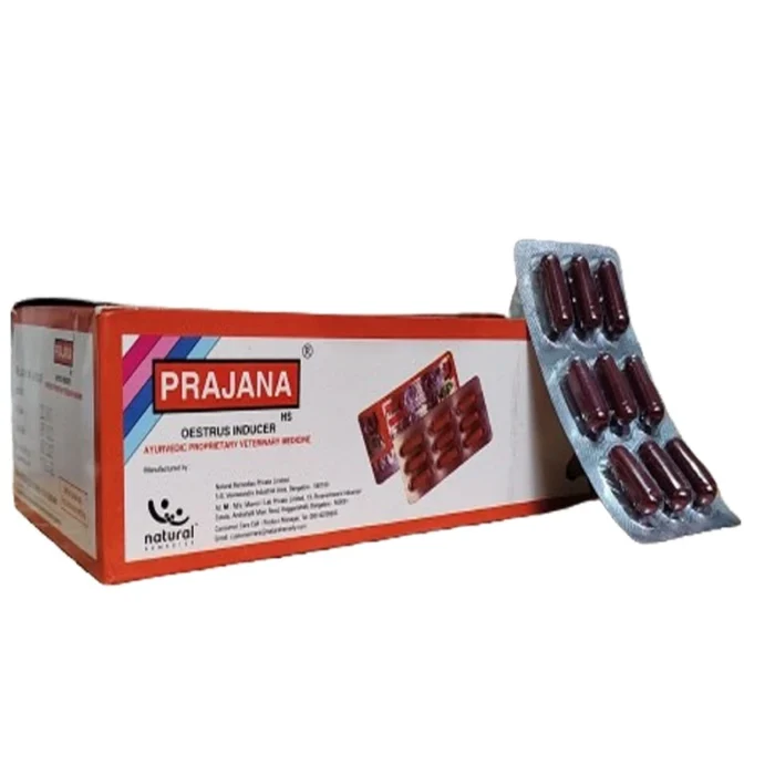 Prajana HS Capsule