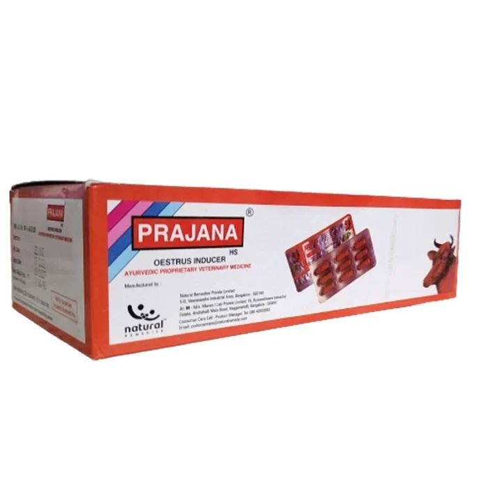 Prajana HS Capsule