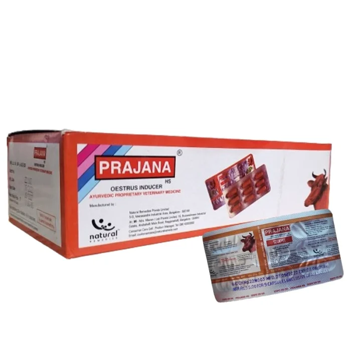 Prajana HS Capsule