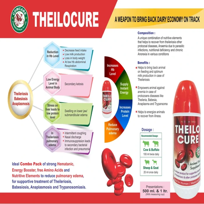 THEILOCURE