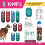 TOPVIT-5