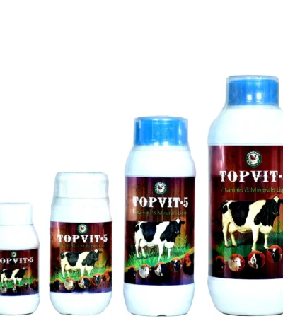 TOPVIT-5