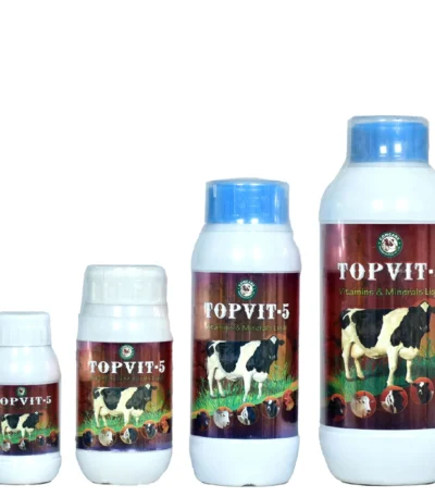 TOPVIT-5
