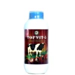 TOPVIT-5
