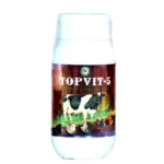 TOPVIT-5
