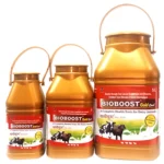 BIOBOOST GOLD ORAL