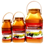 BIOBOOST GOLD ORAL
