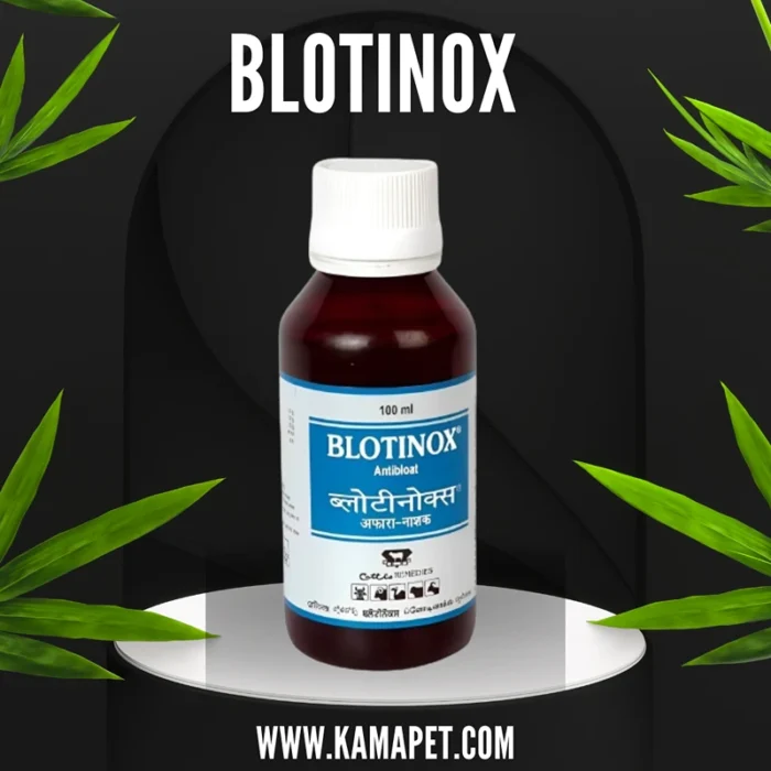 BLOTINOX Liquid