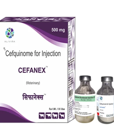 CEFANEX