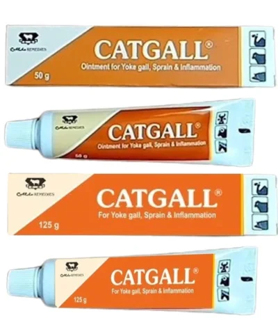 Catgall Ointment