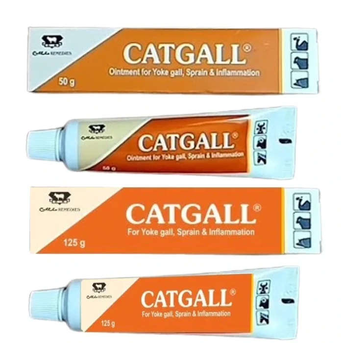 Catgall Ointment