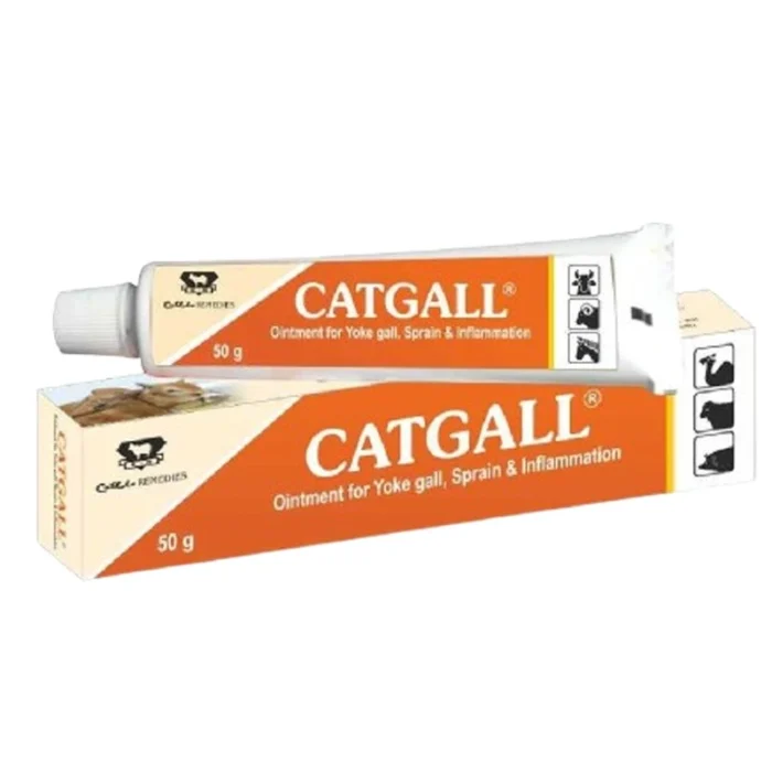 Catgall Ointment