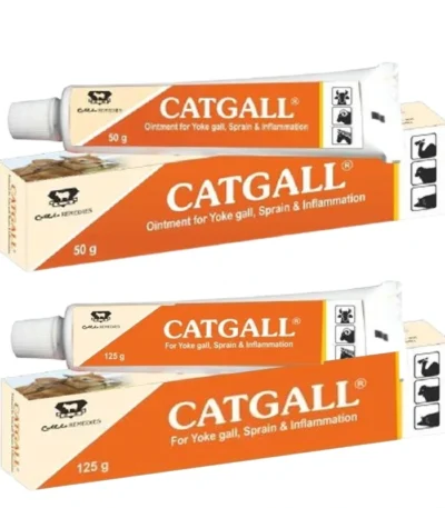 Catgall Ointment