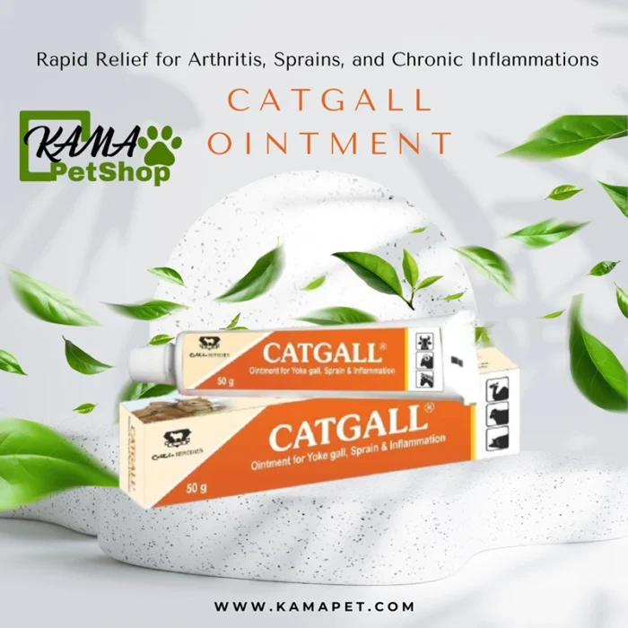 Catgall Ointment