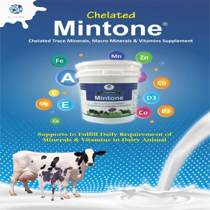 Chelated Mintone