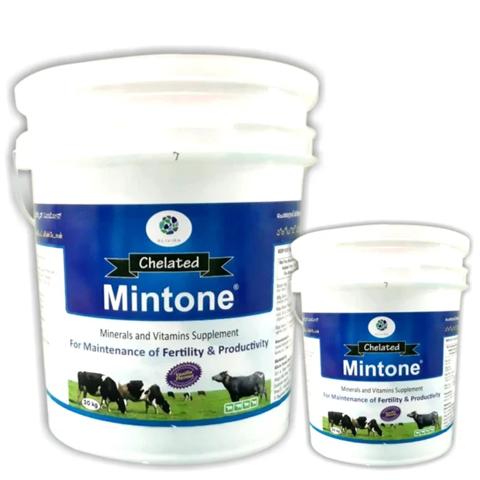 Chelated Mintone