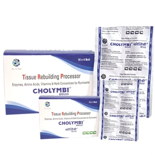 Cholymbi Bolus