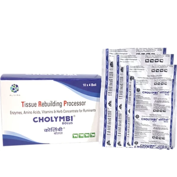 Cholymbi Bolus