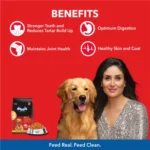 Drools Chicken and Egg Adult Dog Food