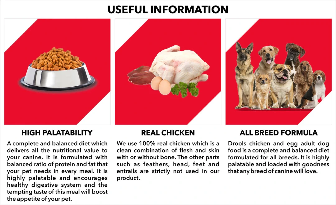 Drools Chicken and Egg Adult Dog Food