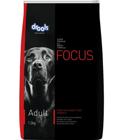Drools Focus Adult