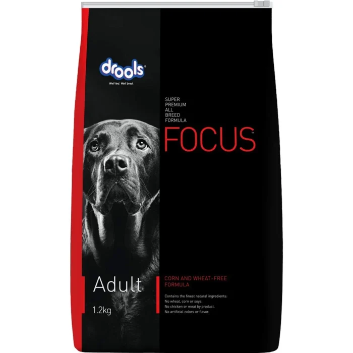 Drools Focus Adult