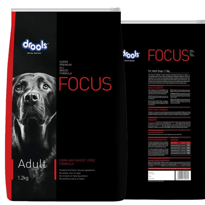 Drools Focus Adult