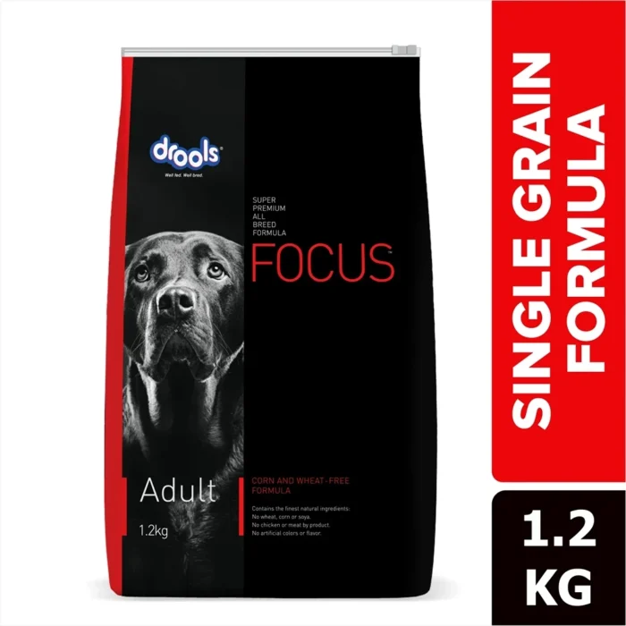 Drools Focus Adult