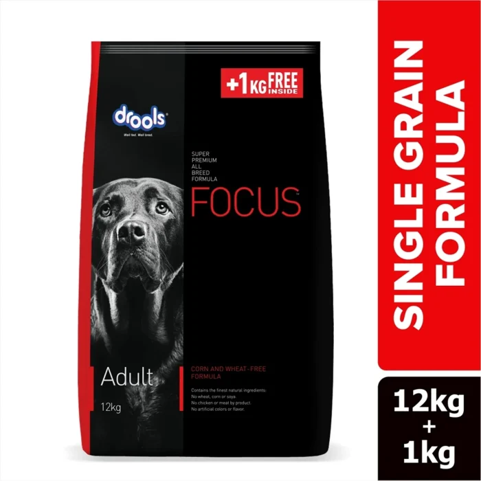 Drools Focus Adult