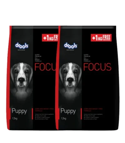 Drools Focus Puppy