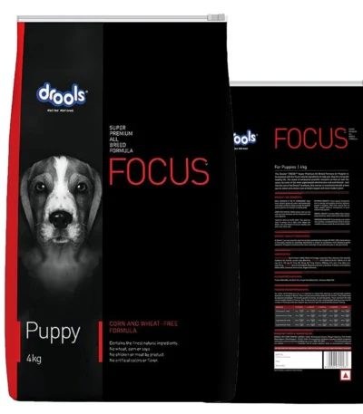Drools Focus Puppy