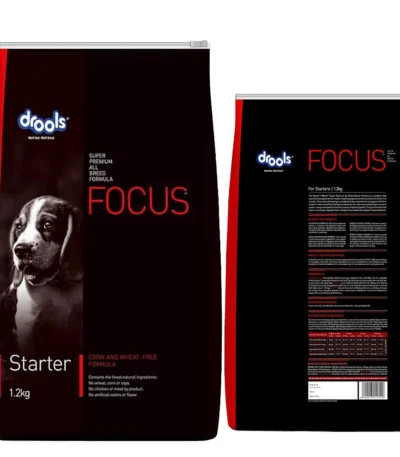 Drools Focus Starter
