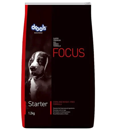 Drools Focus Starter