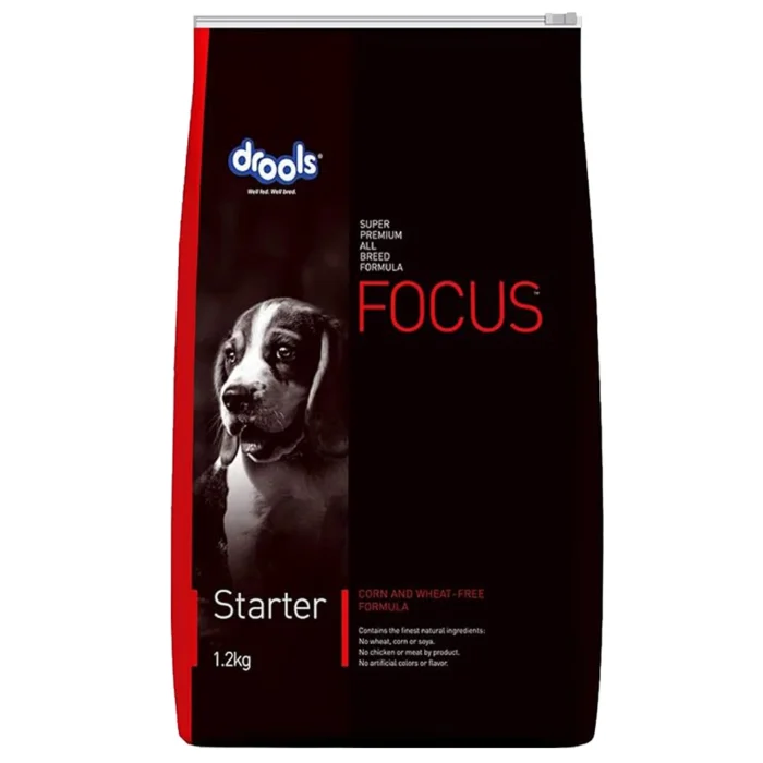 Drools Focus Starter