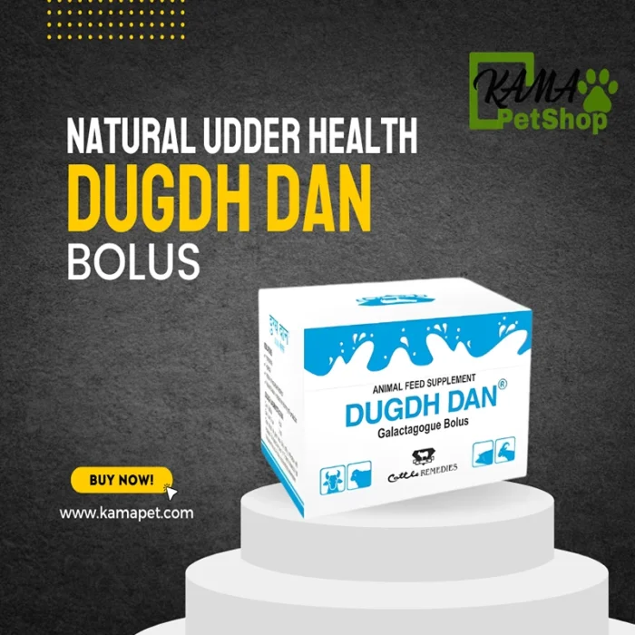 Dugdh Dan Bolus