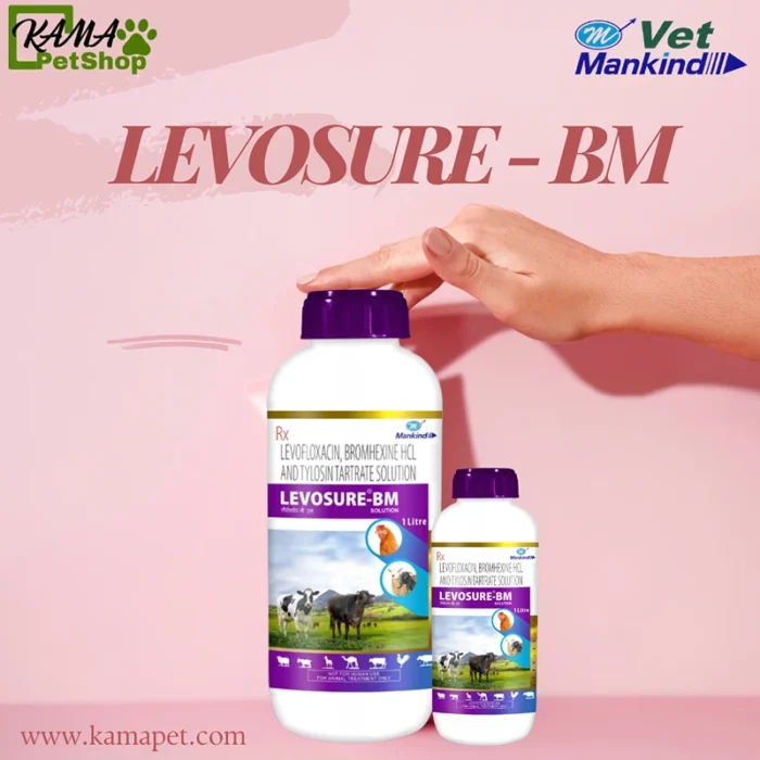 LEVOSURE-BM