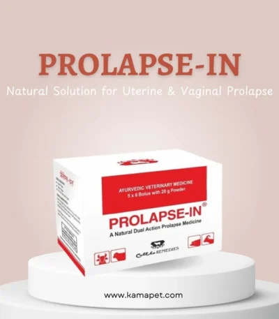 PROLAPSE-IN